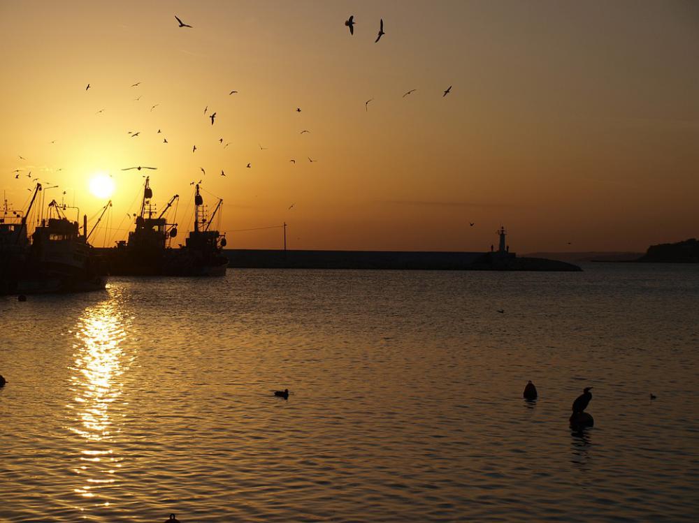 Marine Fisherman Fish Sunset Beach Fishing Marine Fisherman Fish Sunset Beach Fishing