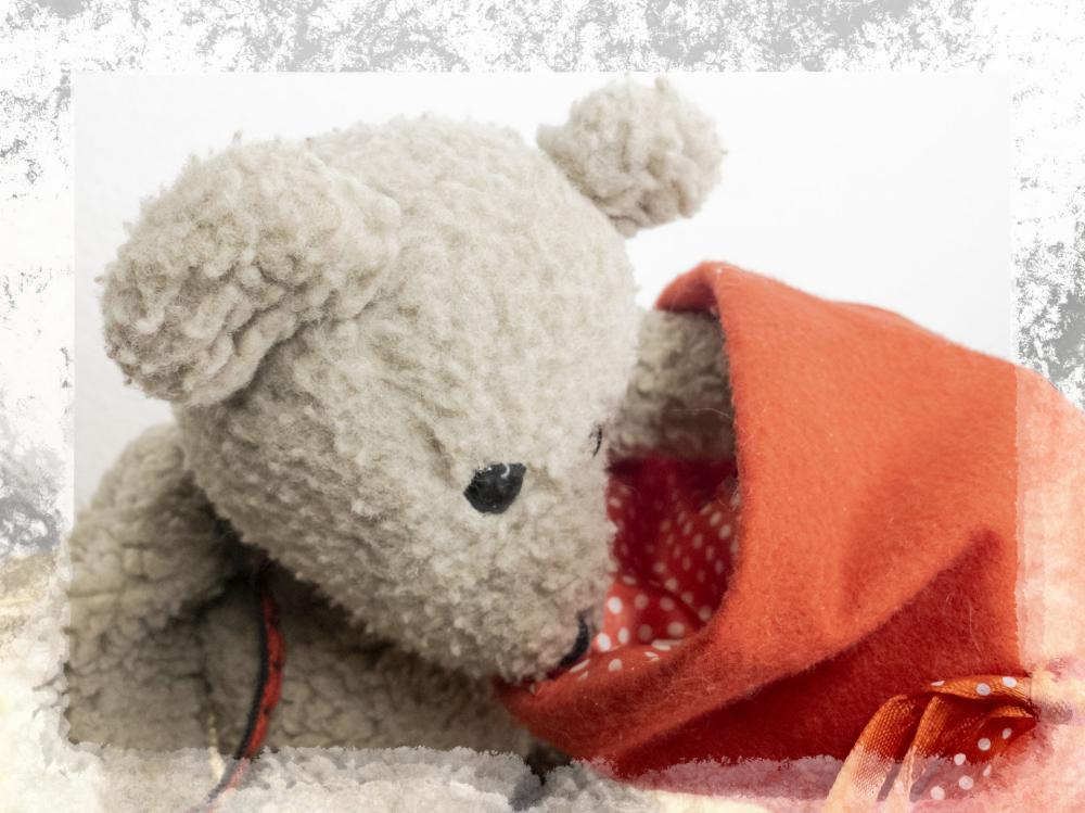 Christmas Teddy Bear Framed White Christmas Teddy Bear Framed White