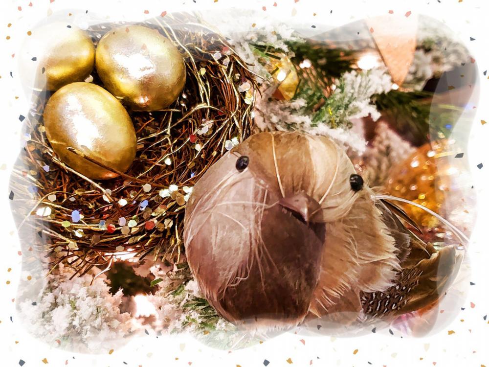 Bird And Golden Eggs Bird And Golden Eggs