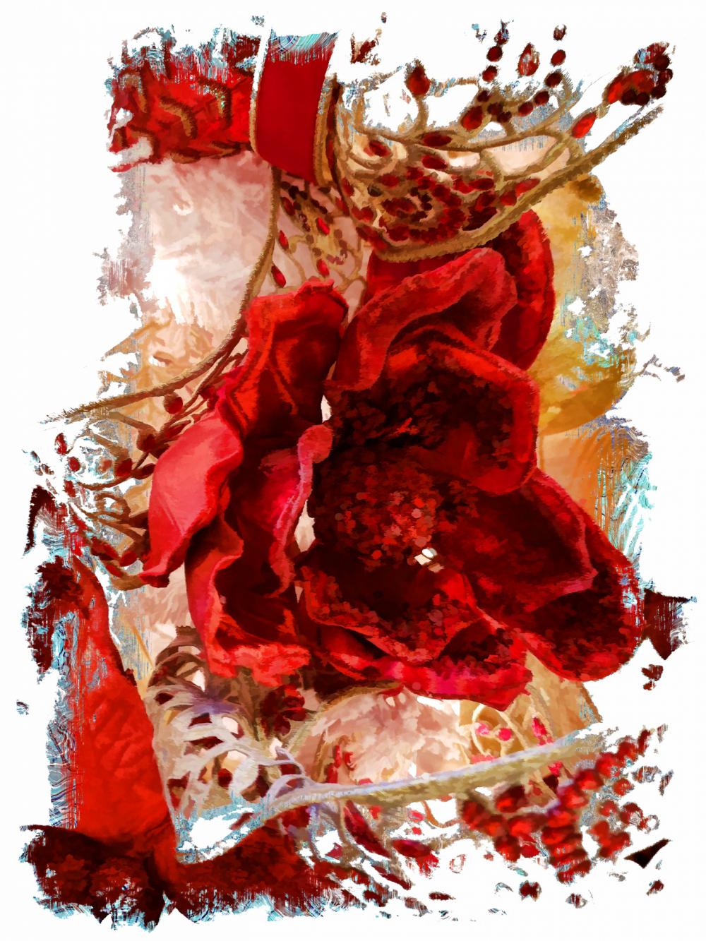 Red Christmas Flower Red Christmas Flower