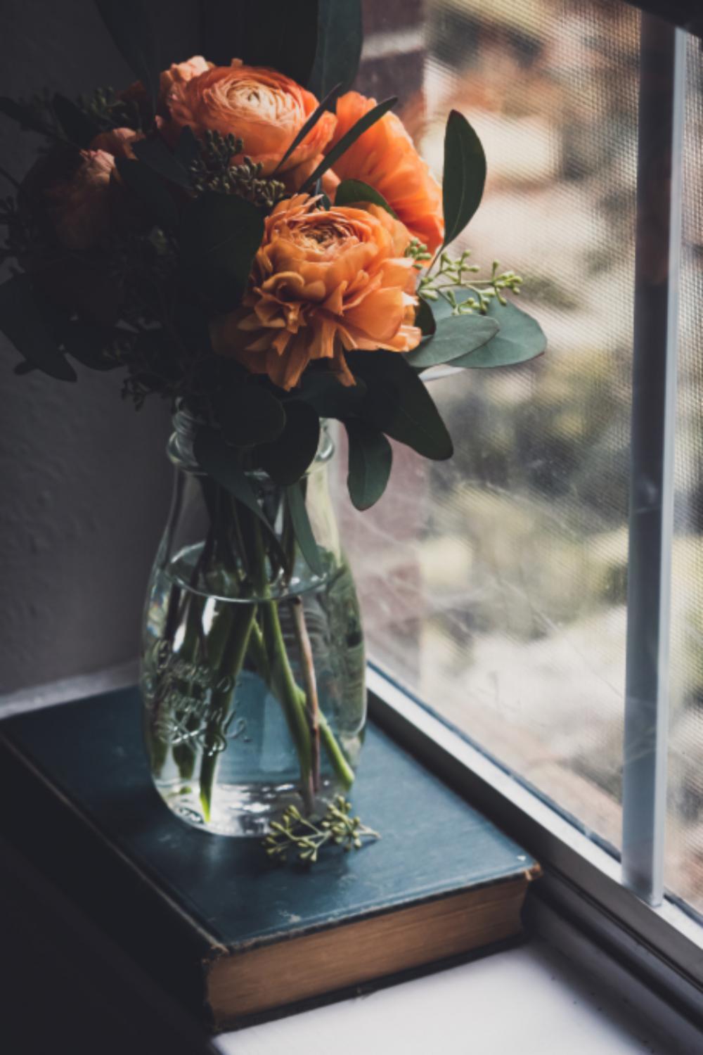 flower vase window plant glass flower vase window plant glass