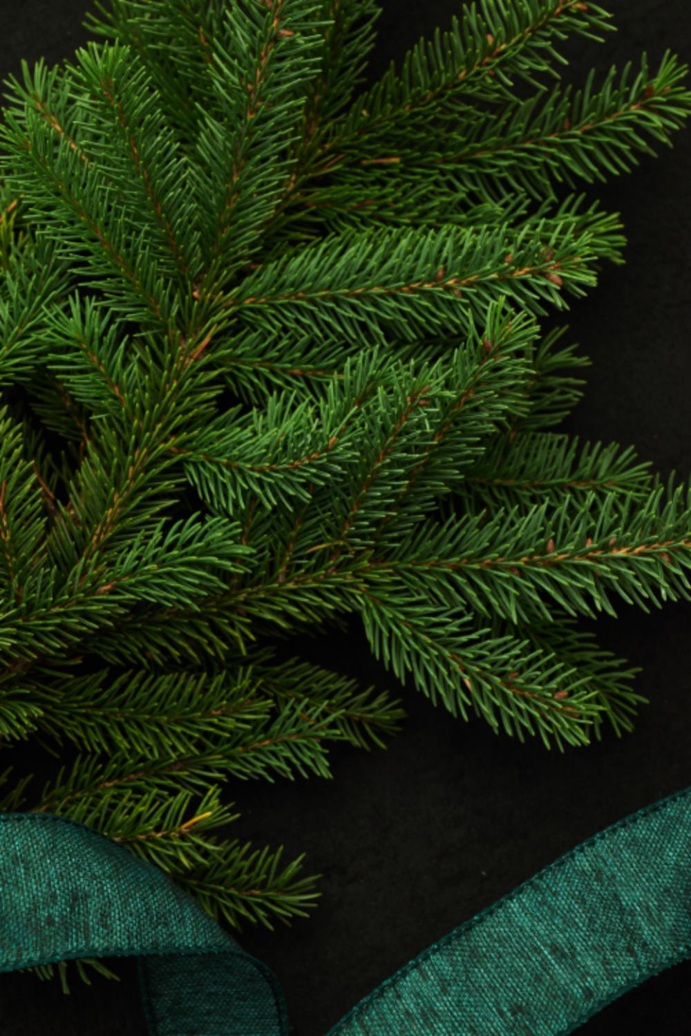 seasonal backgrounds christmas flat lay pine seasonal backgrounds christmas flat lay pine