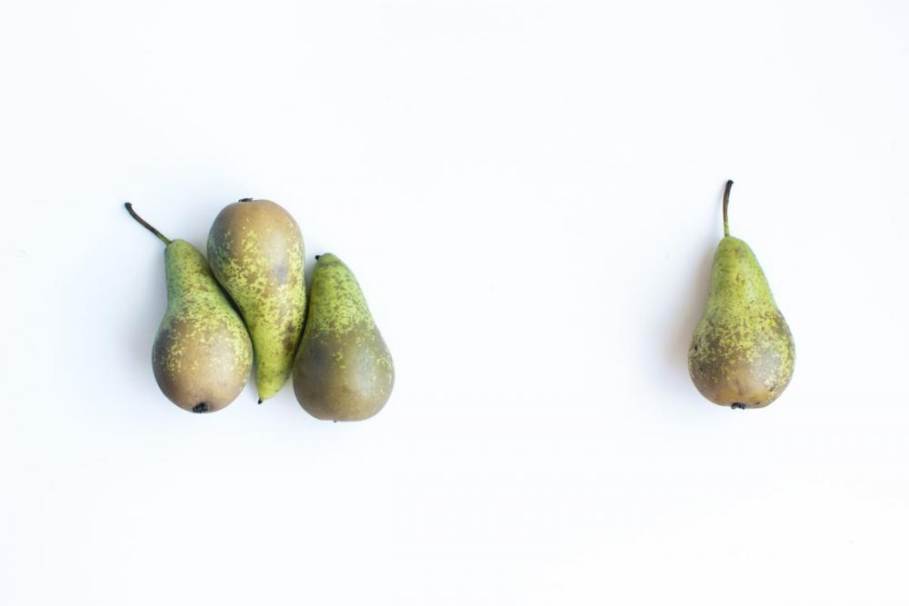 Fresh organic pears on a white background Fresh organic pears on a white background