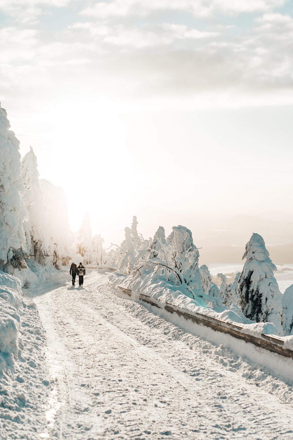 Two Persons Walking on Snow Covered Road Free Photo Two Persons Walking on Snow Covered Road Free Photo