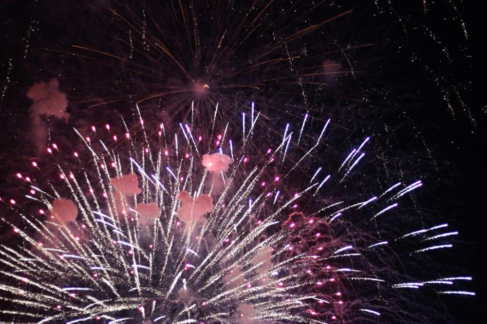 New Year Firework Year Fireworks Party Celebration New Year Firework Year Fireworks Party Celebration