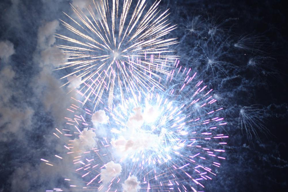 New Year Firework Year Fireworks Party Celebration New Year Firework Year Fireworks Party Celebration