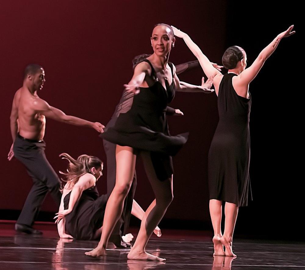 Dance Dancer Dancing Woman Girl Elegance People Dance Dancer Dancing Woman Girl Elegance People