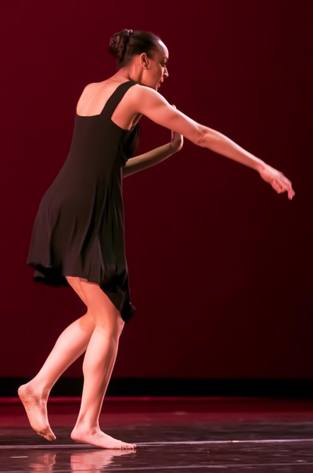 Dance Dancer Dancing Woman Girl Elegance People Dance Dancer Dancing Woman Girl Elegance People