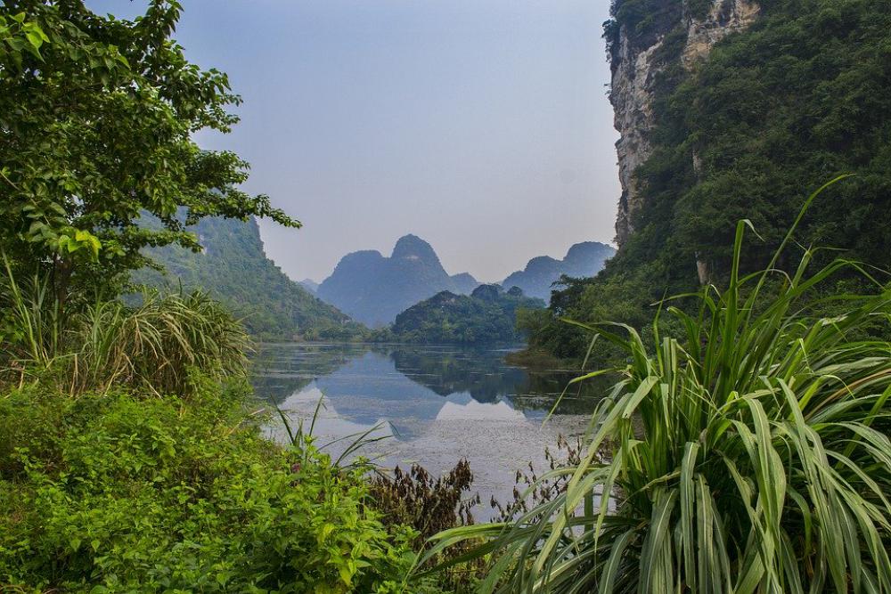 Lake Jungle Nature Landscape Water Trees Travel Lake Jungle Nature Landscape Water Trees Travel