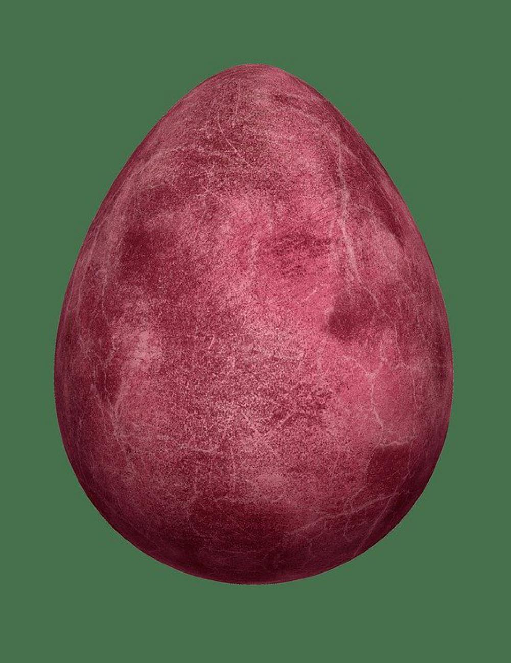 Easter Egg Egg Colorful Colored Easter Red Easter Egg Egg Colorful Colored Easter Red