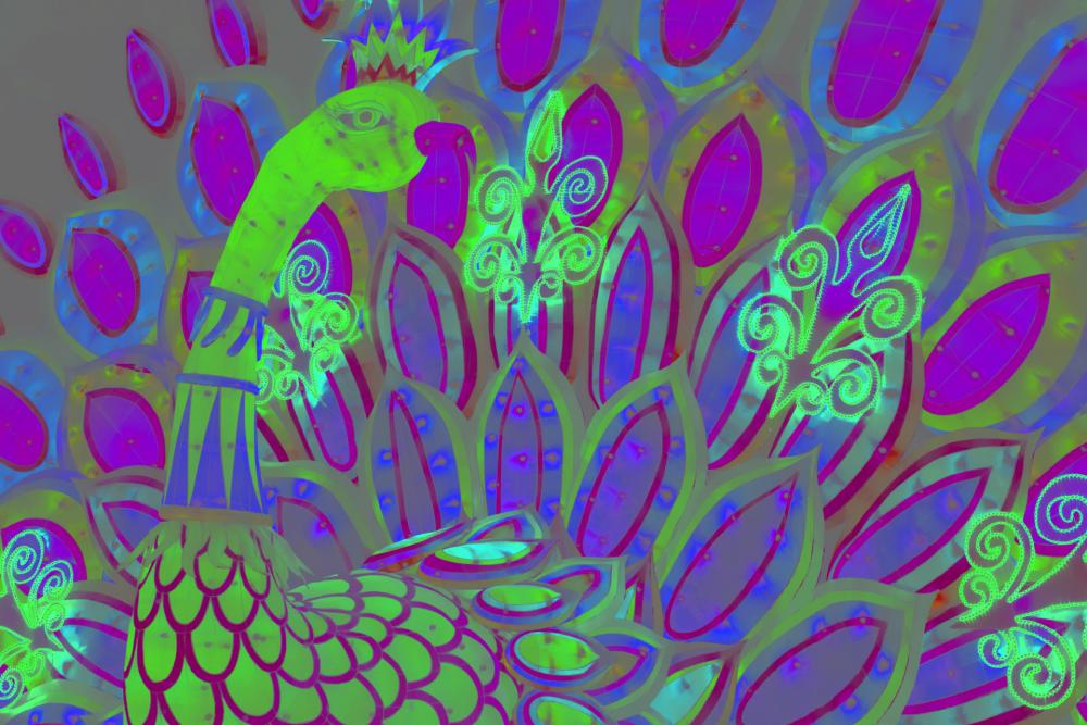 Peacock Illustration Peacock Illustration