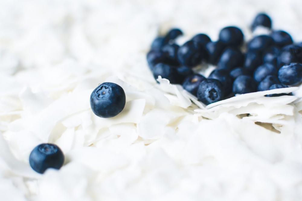 Close up of blueberry on coconut flakes Close up of blueberry on coconut flakes