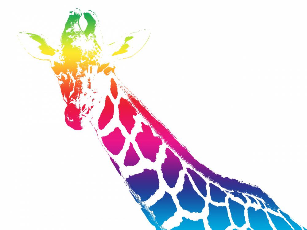 Giraffe Illustration Clip Art Giraffe Illustration Clip Art