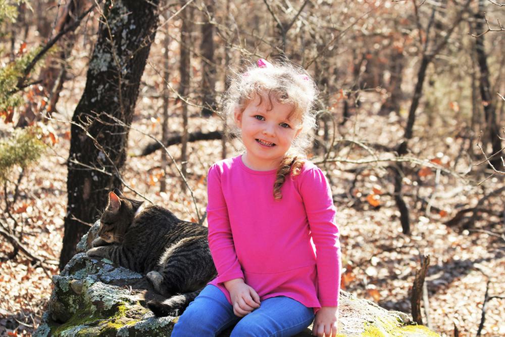 Little Girl And Cat In The Woods 2 Little Girl And Cat In The Woods 2