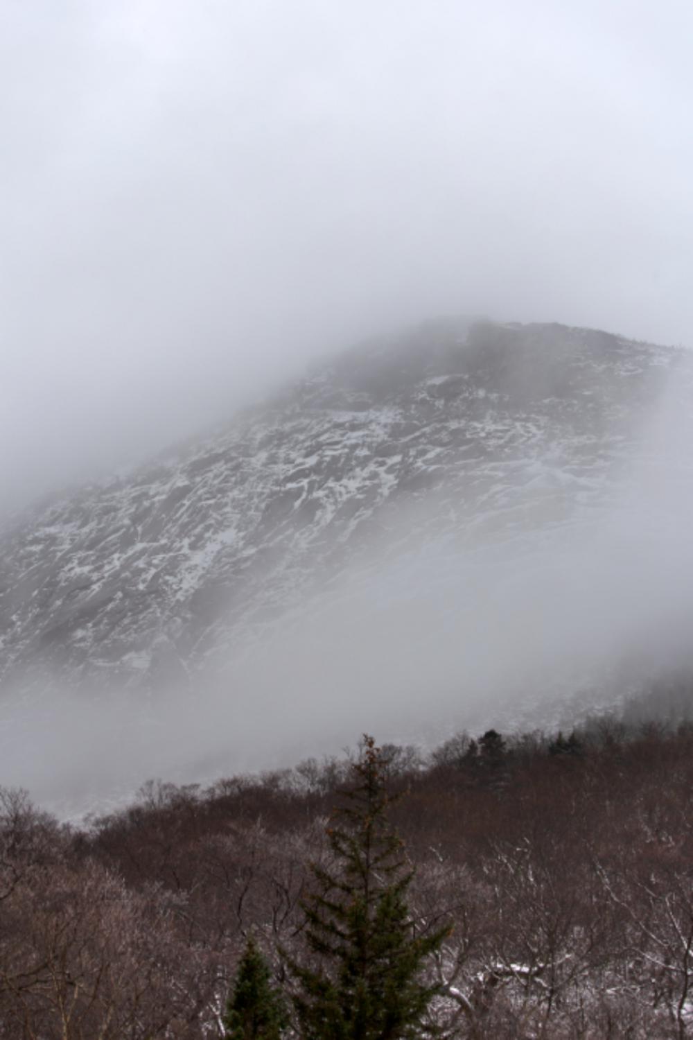 winter mountain landscape forest trees winter mountain landscape forest trees