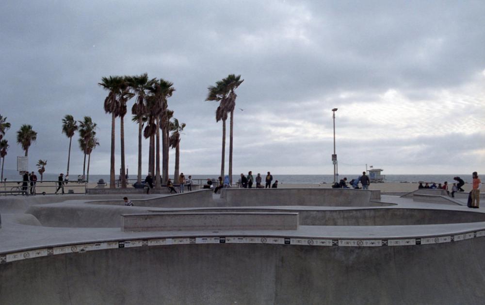 skater skate skateboarder venice sport skater skate skateboarder venice sport