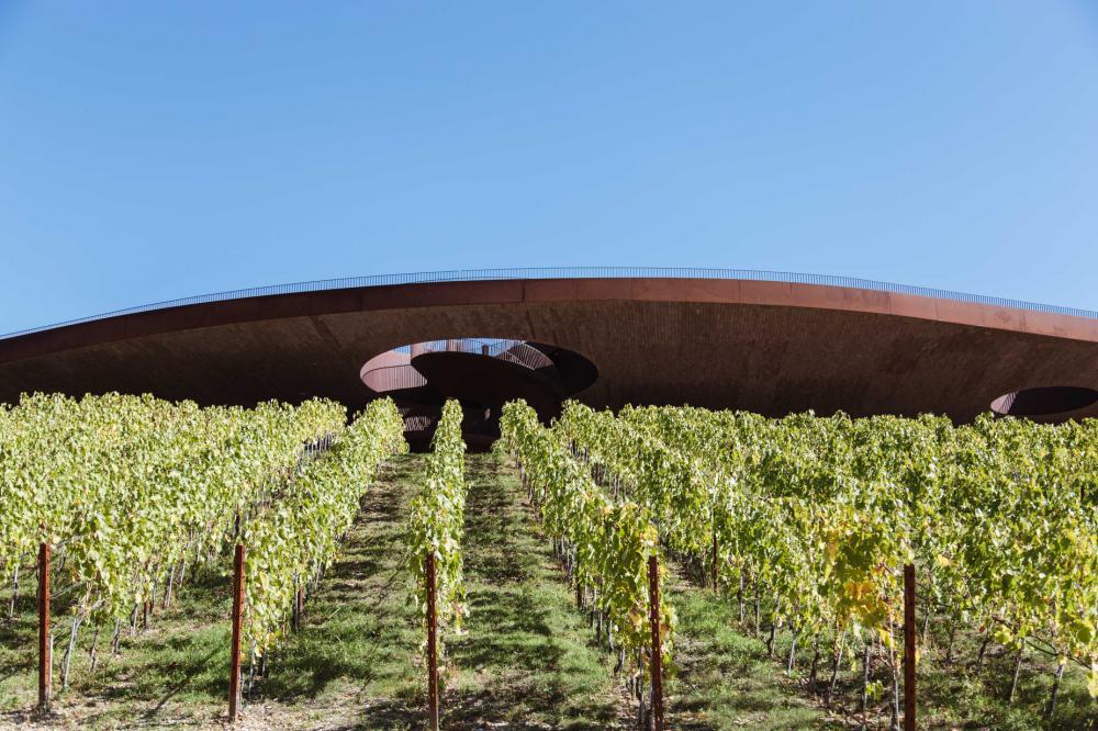 Large Curved Walkway Over Vineyard Photo Large Curved Walkway Over Vineyard Photo