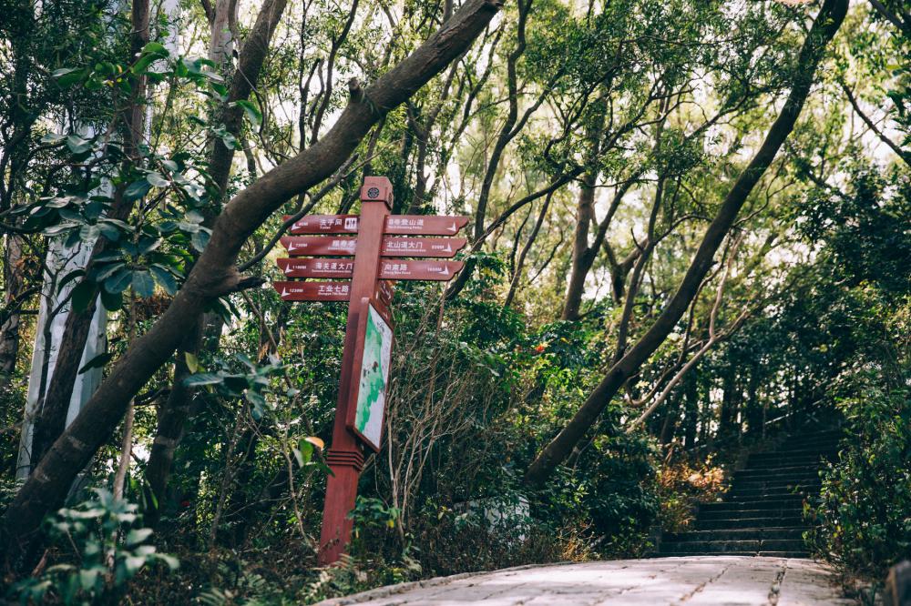 A Wayfinding Sign Beside A Path Photo A Wayfinding Sign Beside A Path Photo