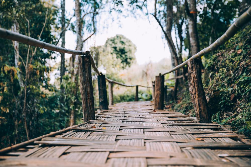 Wooden Woven Bamboo Walking Bridge Photo Wooden Woven Bamboo Walking Bridge Photo