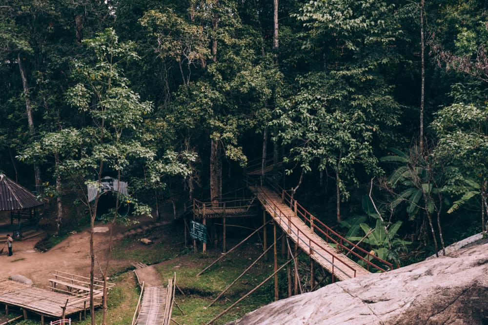 Wooden Trails Through The Forest Photo Wooden Trails Through The Forest Photo