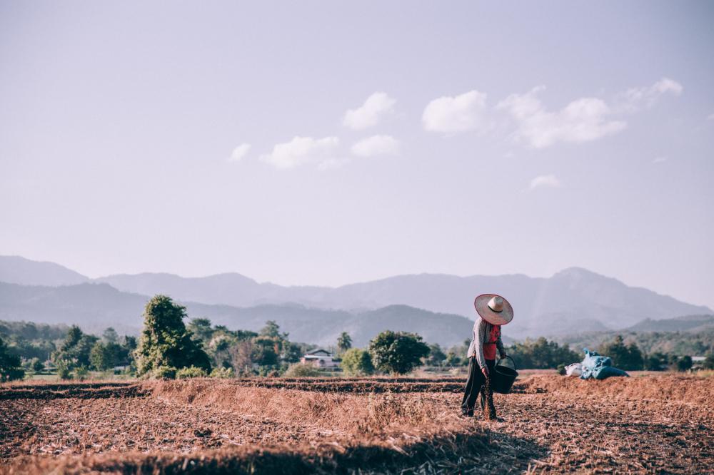Person Prepares Land To Sow Seeds Photo Person Prepares Land To Sow Seeds Photo