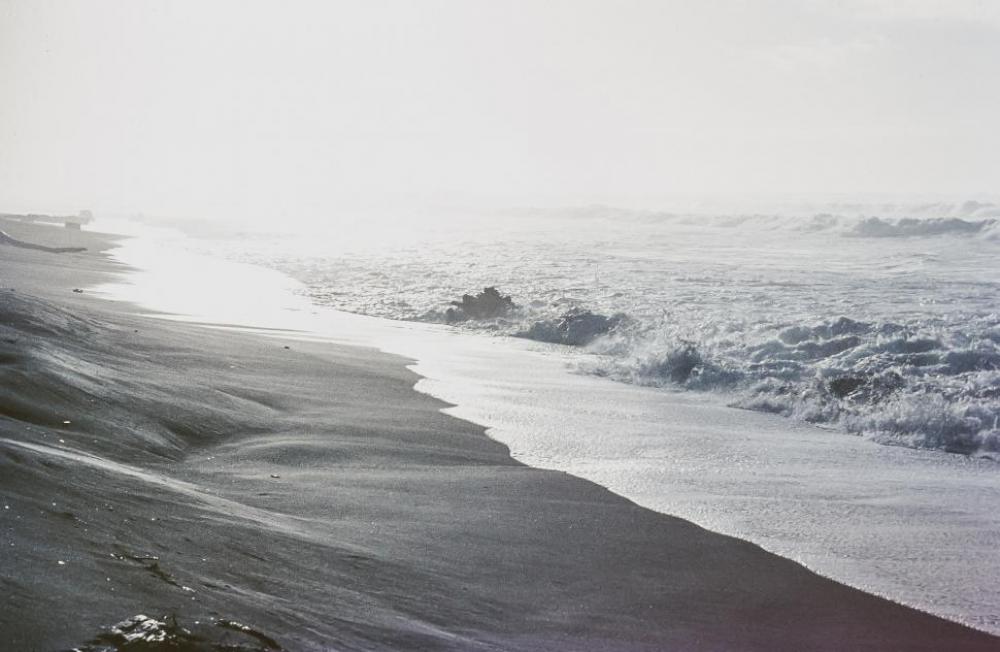 Seashore Seashore