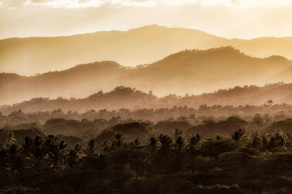 Tropical Mountain Forest Tropical Mountain Forest