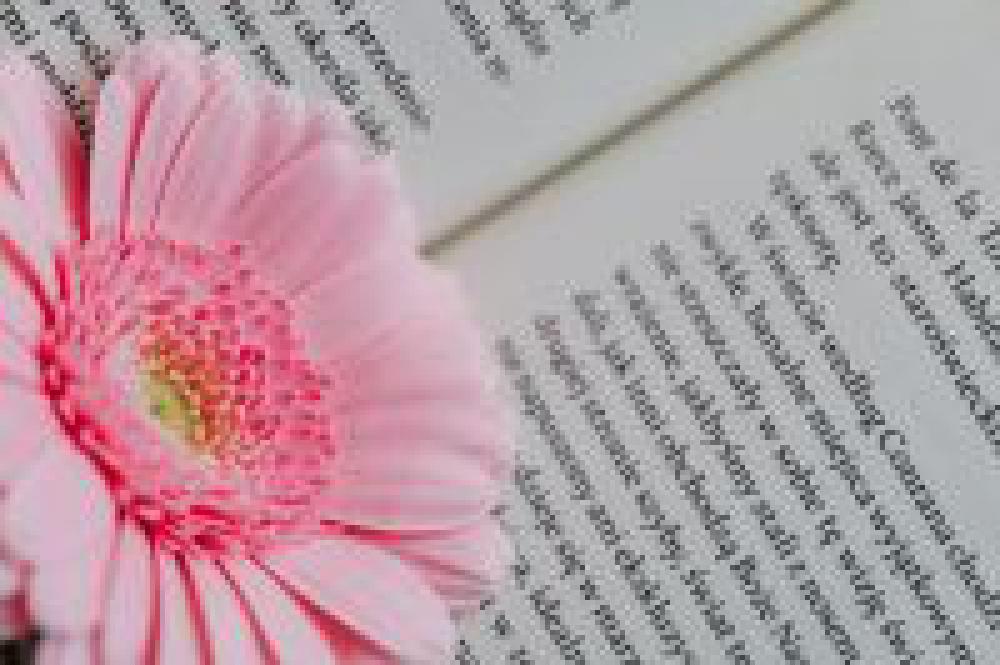 Gerbera & Book Gerbera & Book