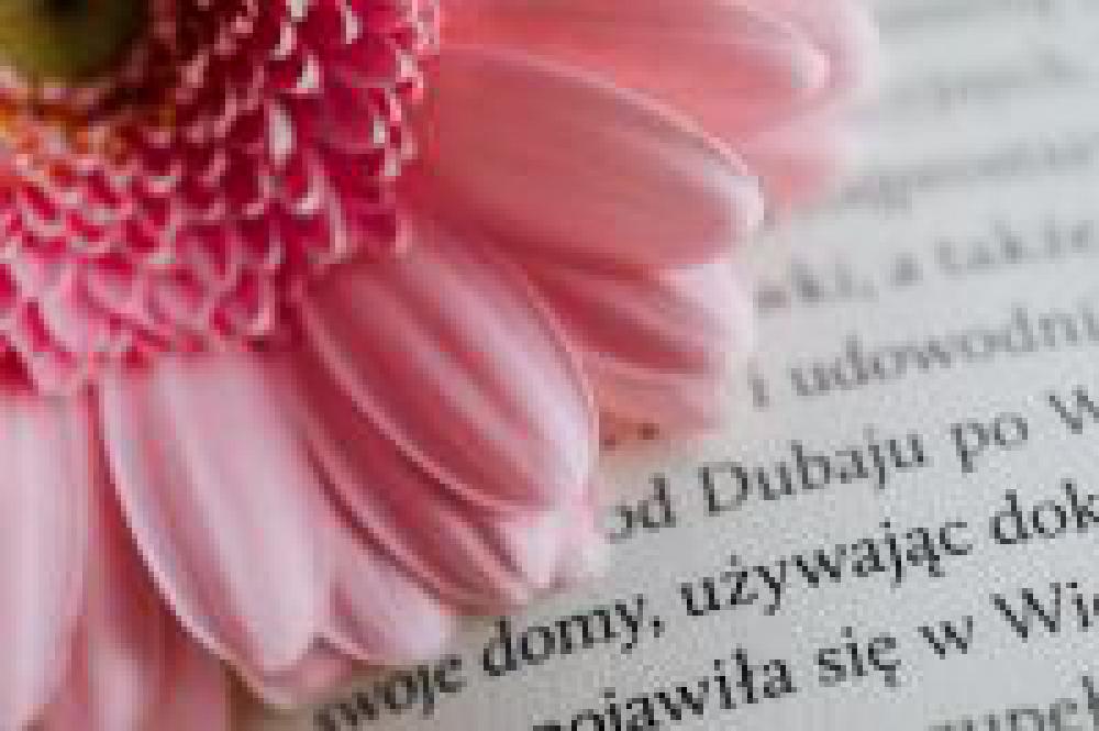 Gerbera & Book Gerbera & Book