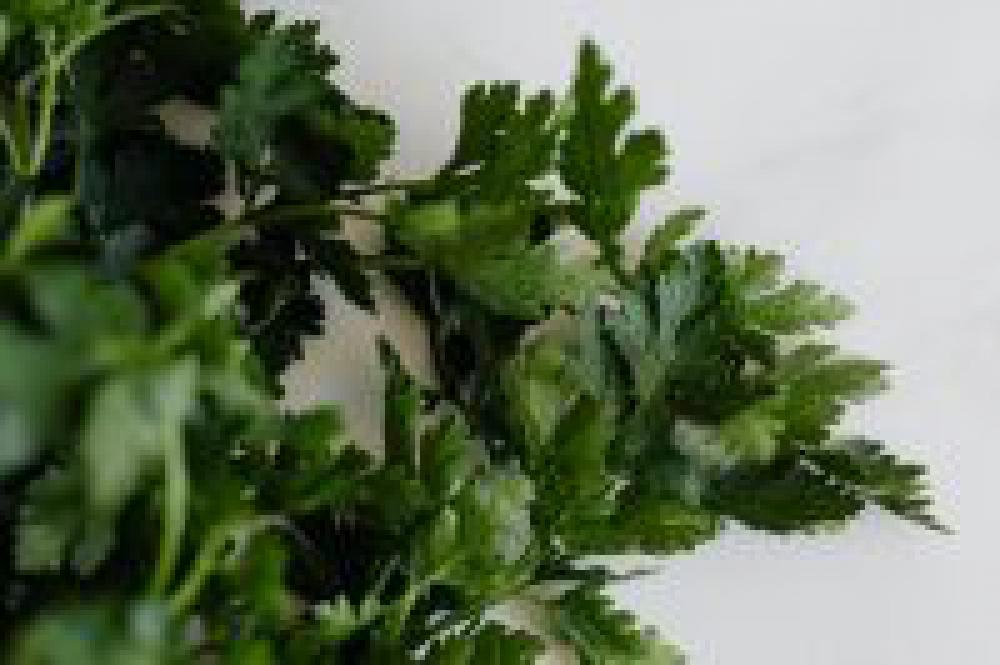 Parsley Parsley