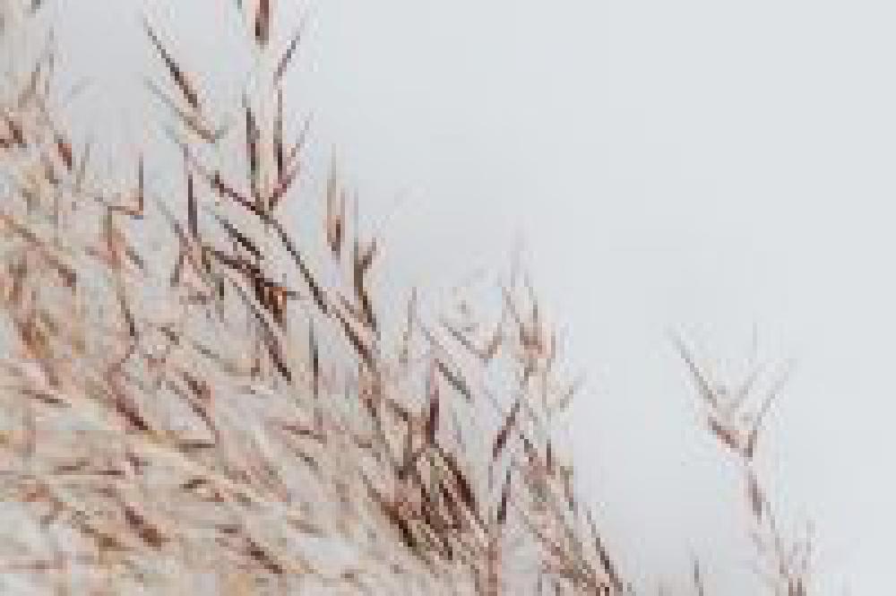 Soft backgrounds Soft backgrounds