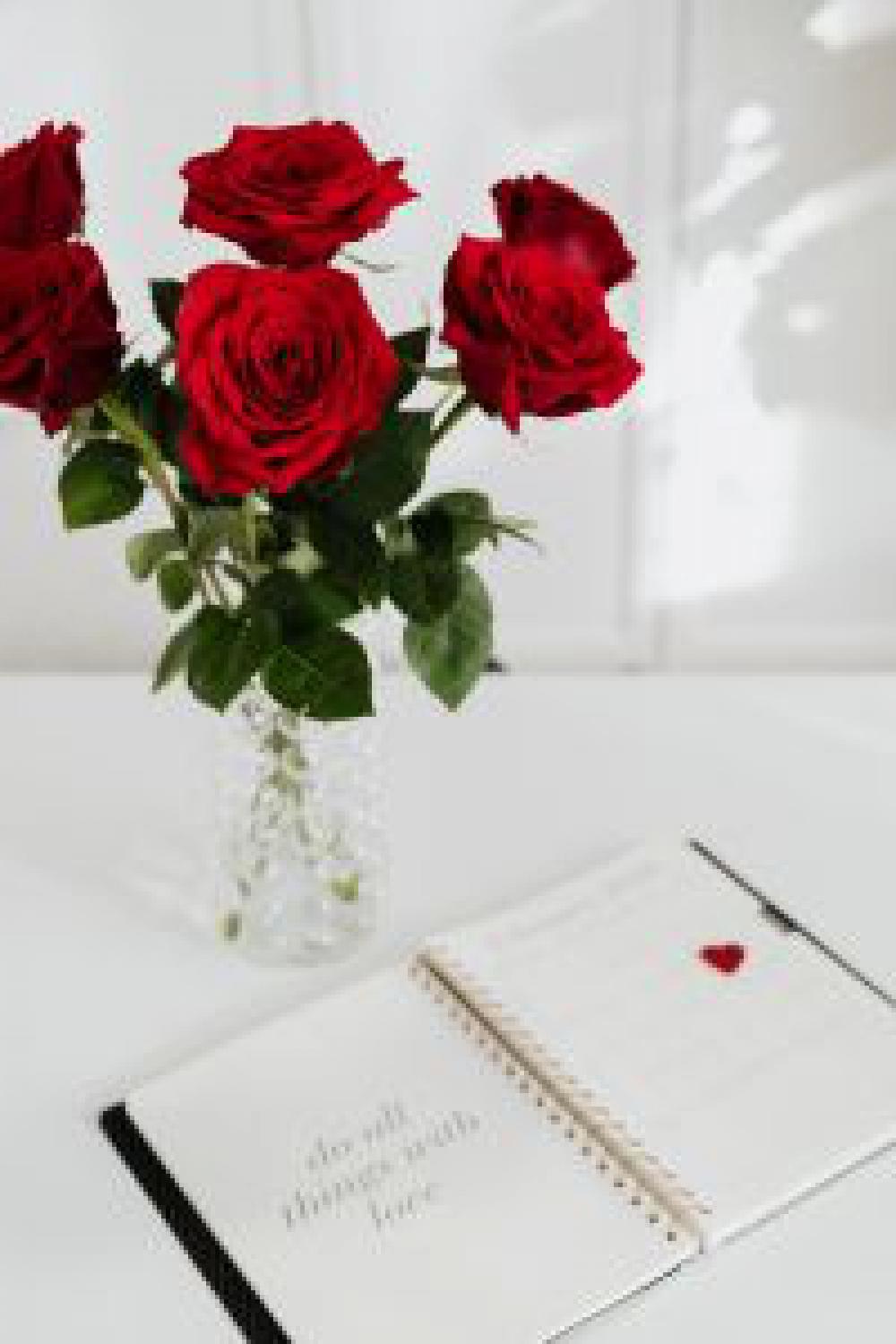 Rose Office Rose Office