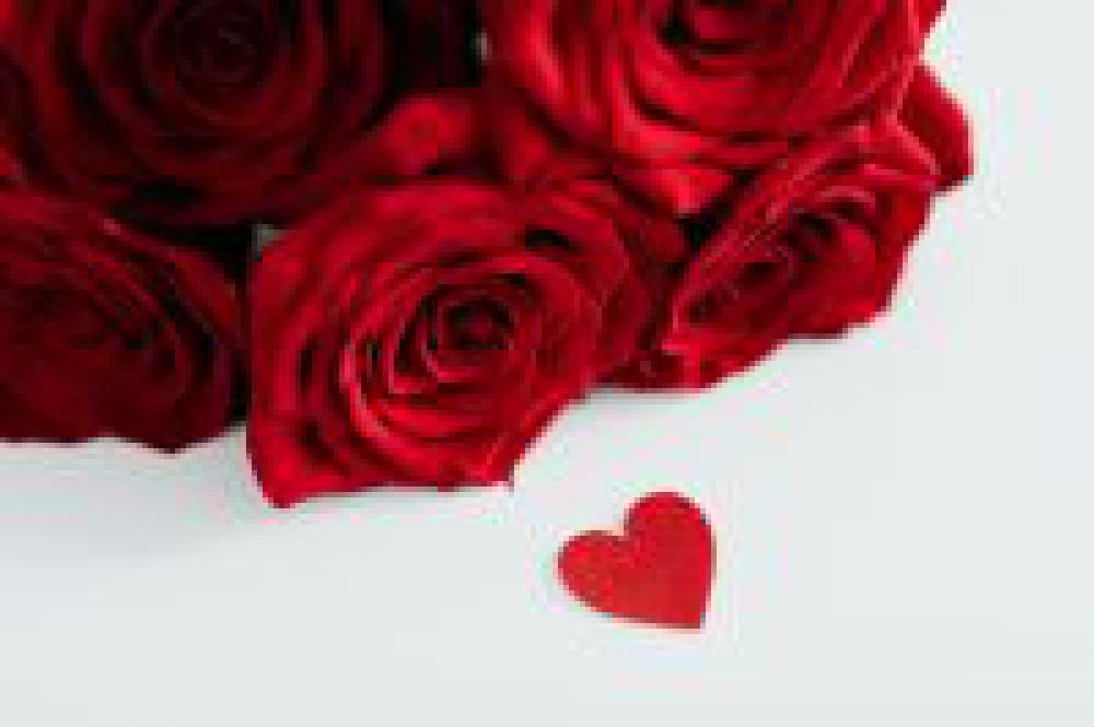 Rose Office Rose Office