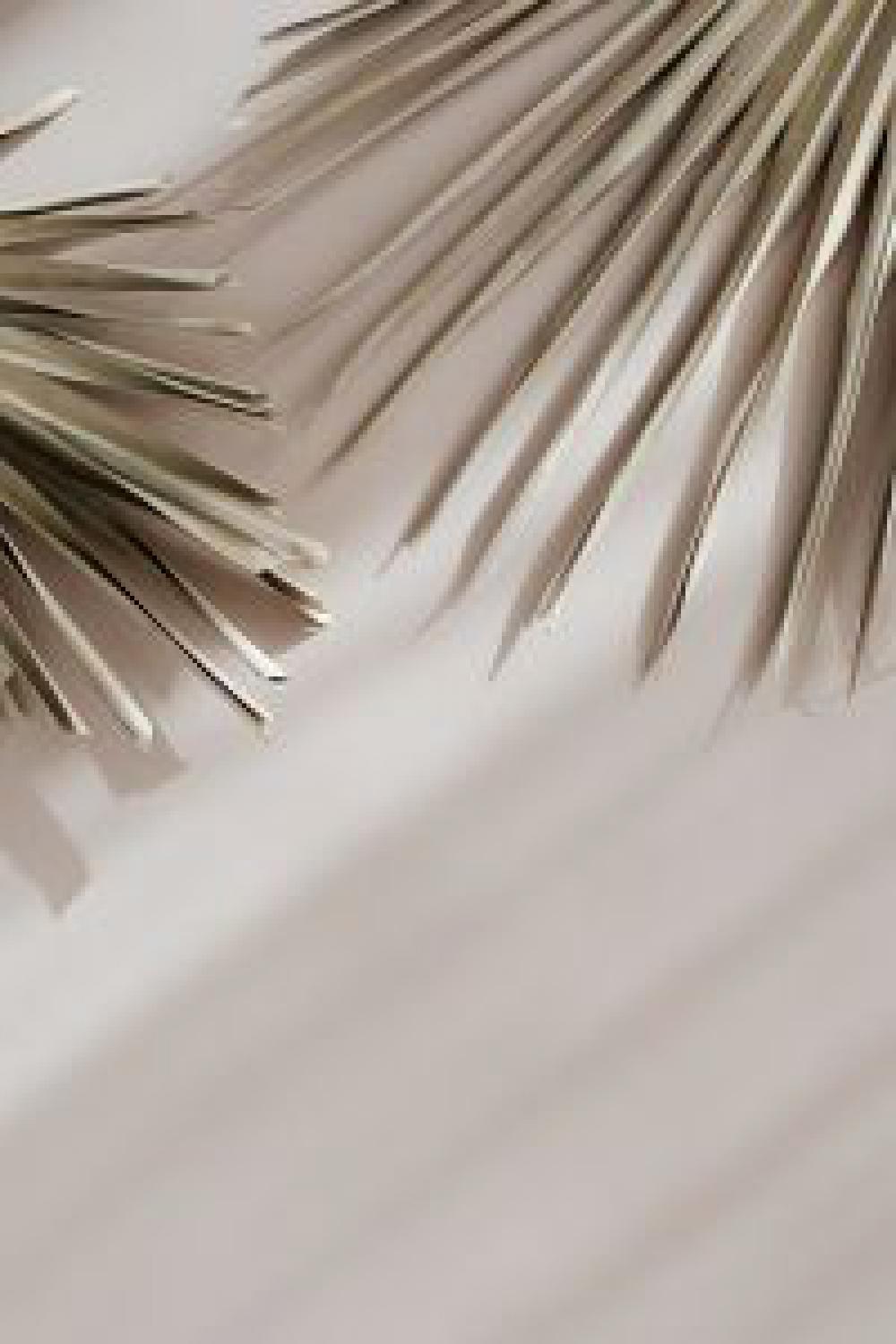 Neutral Palm Neutral Palm