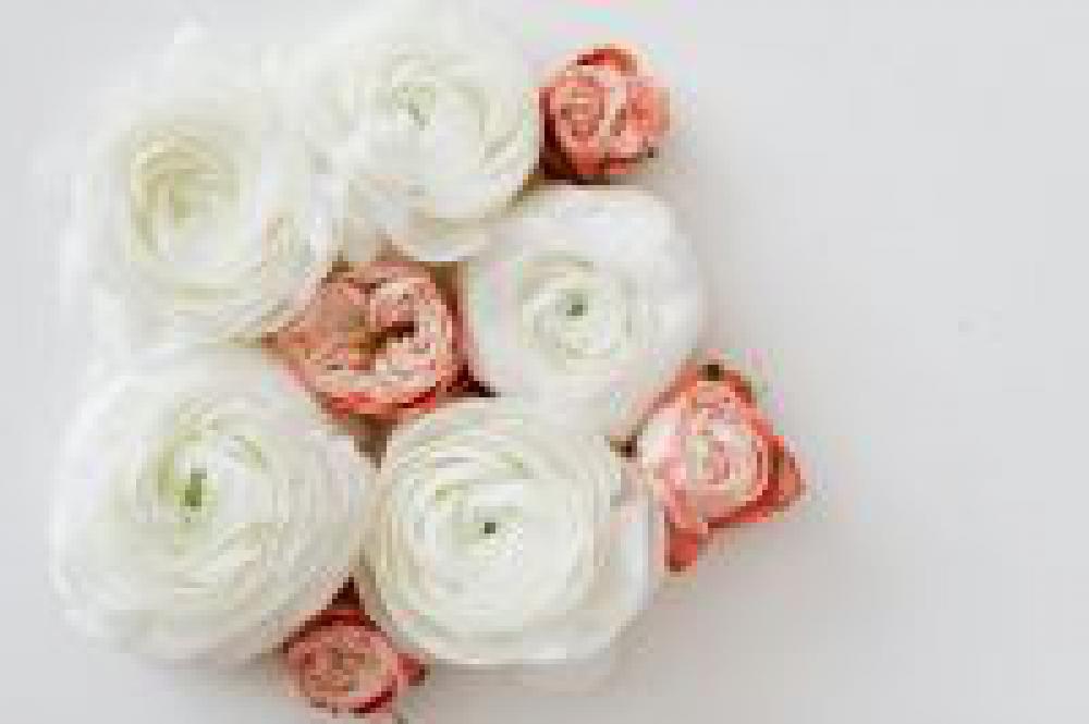 Lovely flowers Lovely flowers