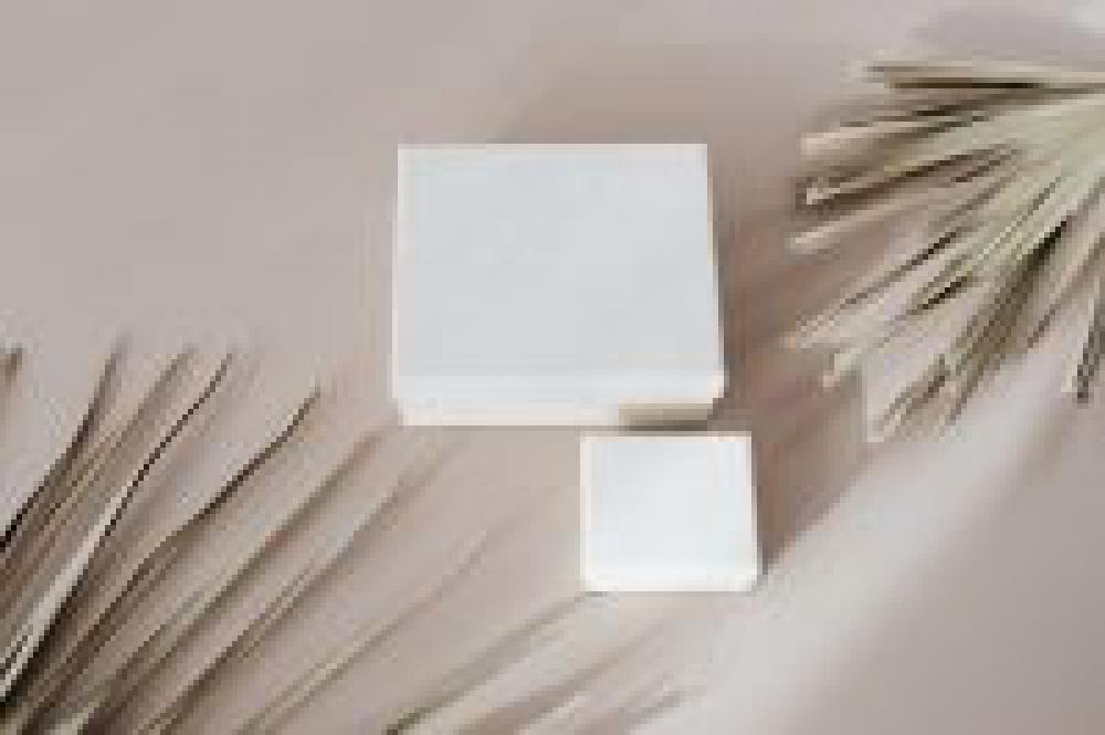 Box & Palm Box & Palm