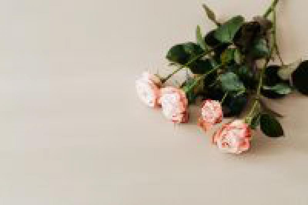 Bombastic rose Bombastic rose