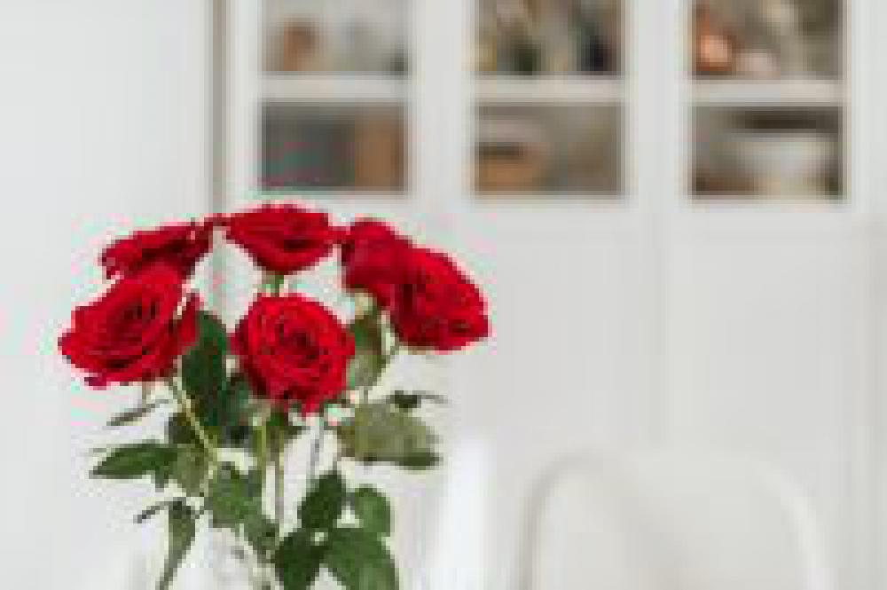 Rose Office Rose Office