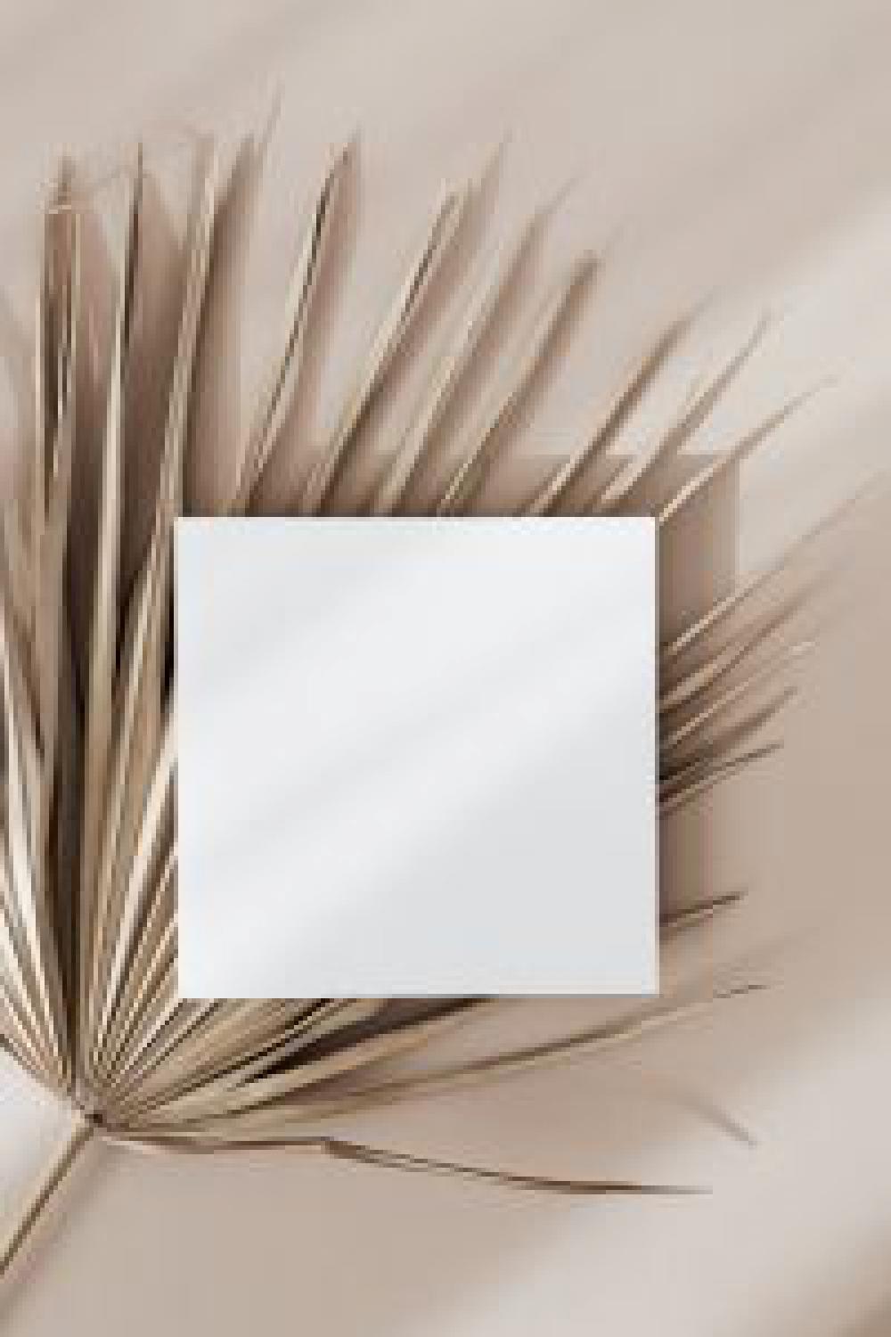 Palm identity Palm identity