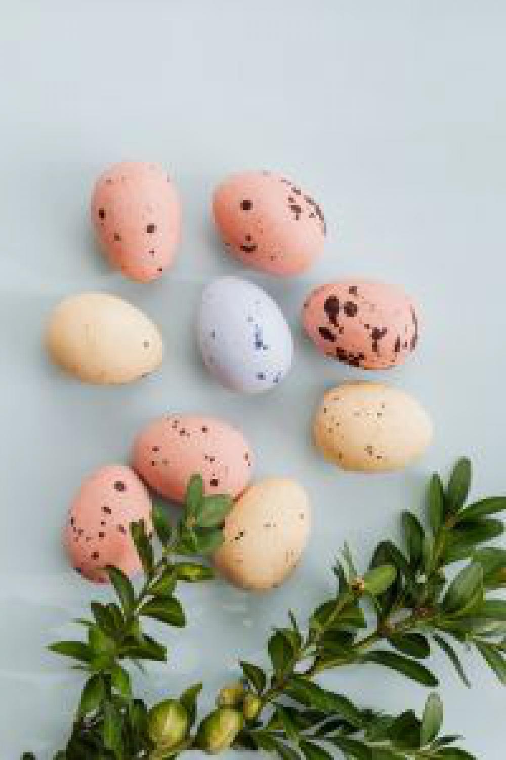 Easter Backgrounds - Free Photos Easter Backgrounds - Free Photos