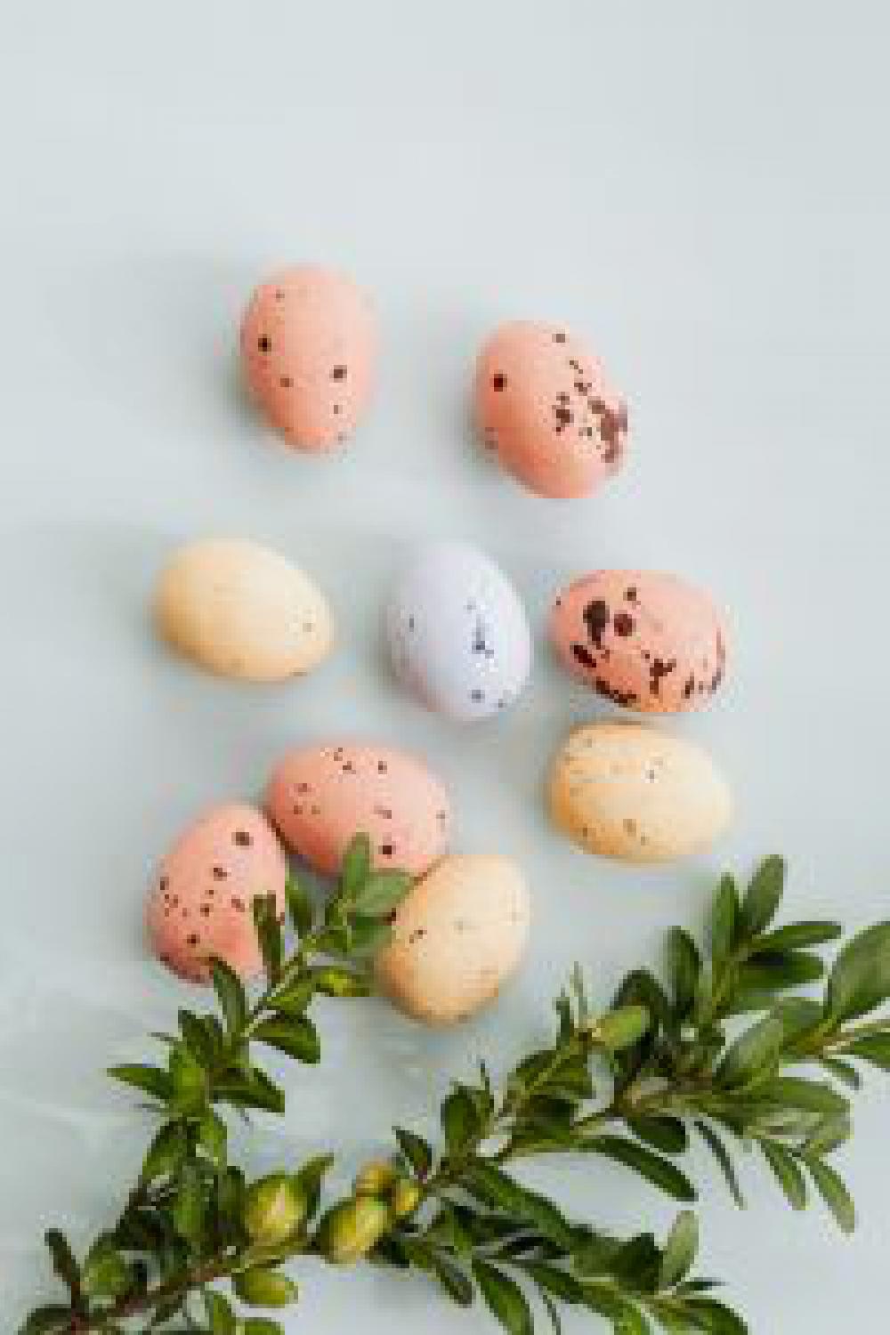 Easter Backgrounds - Free Photos Easter Backgrounds - Free Photos