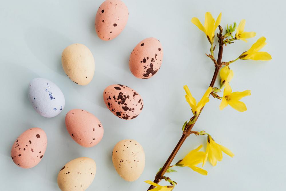 Easter Backgrounds - Free Photos Easter Backgrounds - Free Photos
