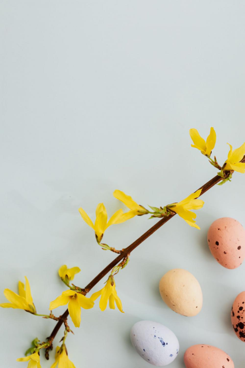 Easter Backgrounds - Free Photos Easter Backgrounds - Free Photos