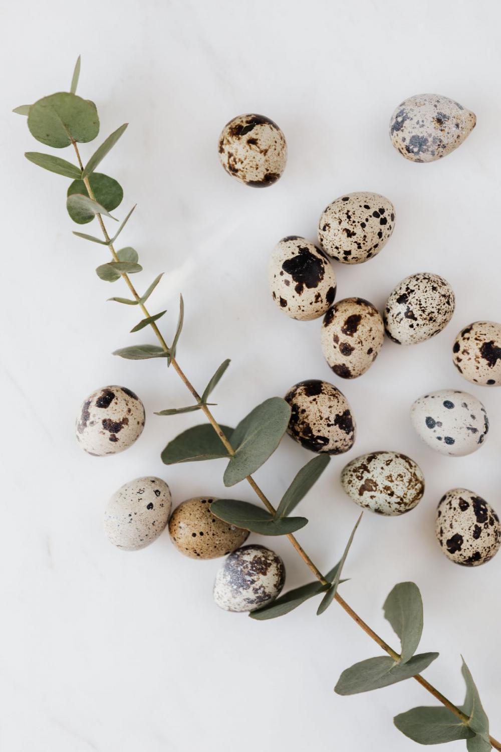 Quail eggs on marble Quail eggs on marble