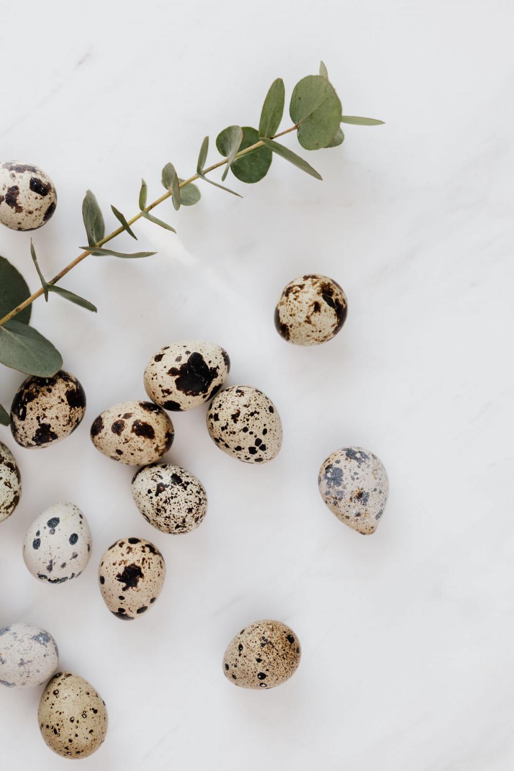 Quail eggs on marble Quail eggs on marble