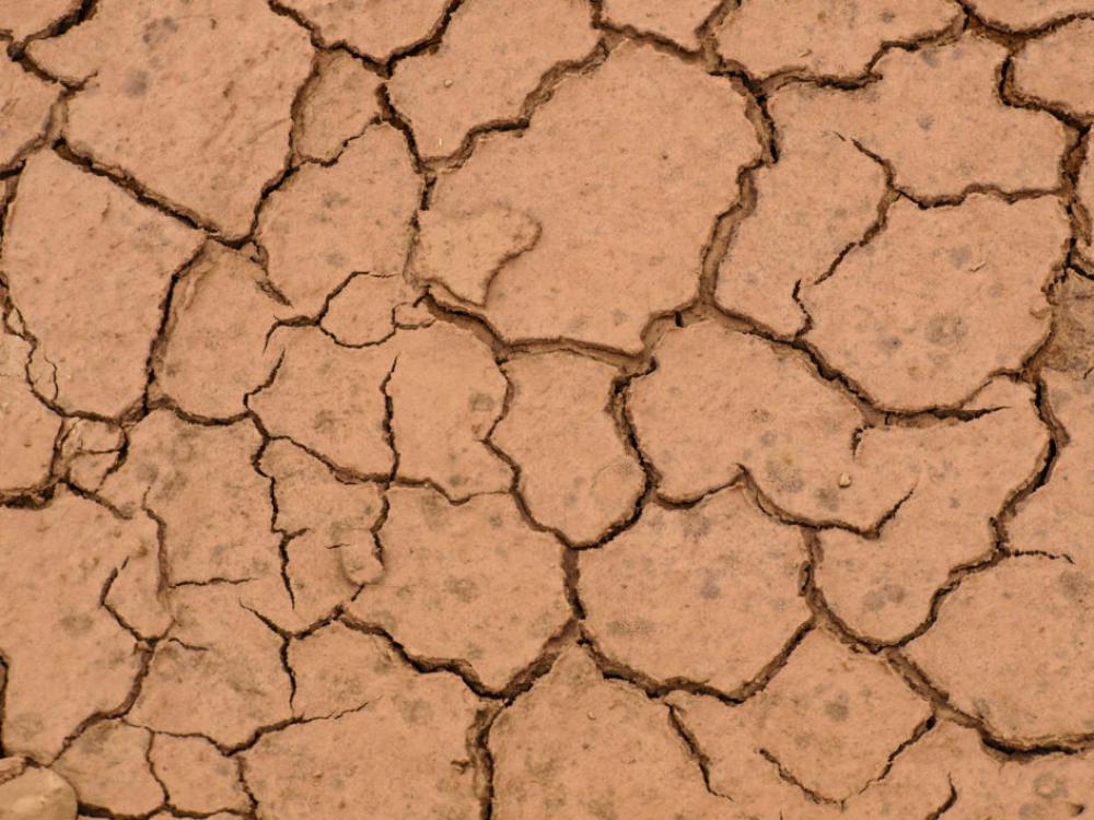Dirt Texture Muddy Free Photo Dirt Texture Muddy Free Photo