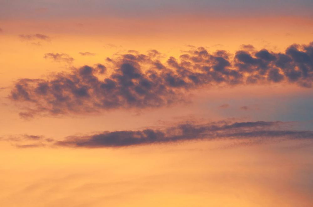 Sunset Pink Sky Free Photo Sunset Pink Sky Free Photo