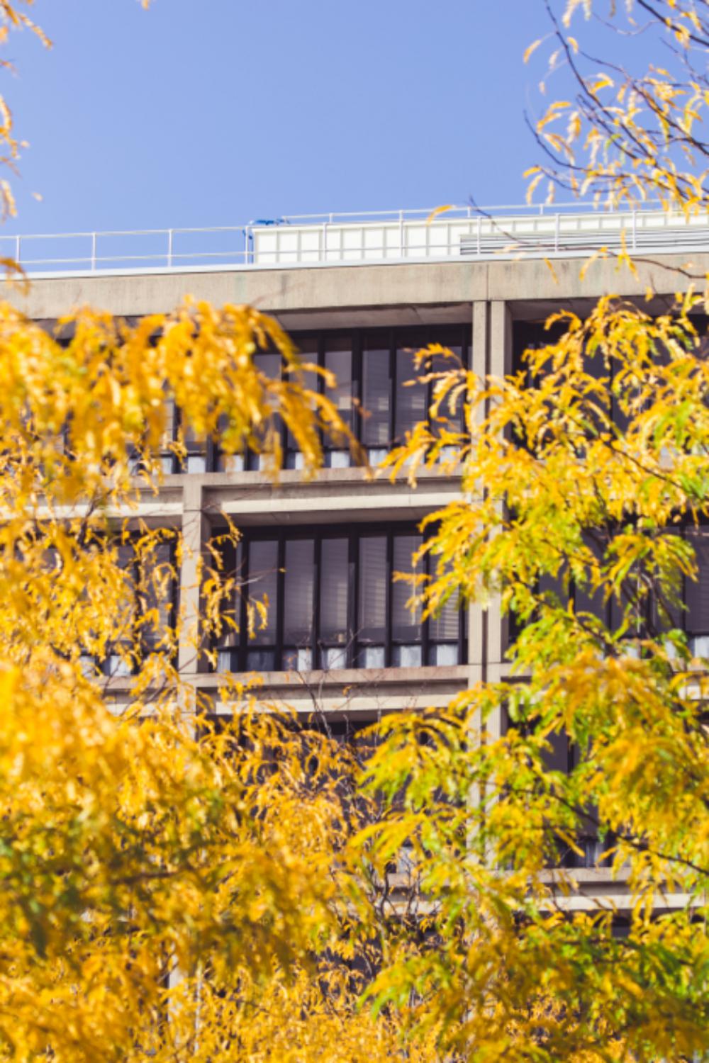 city autumn building facade fall city autumn building facade fall