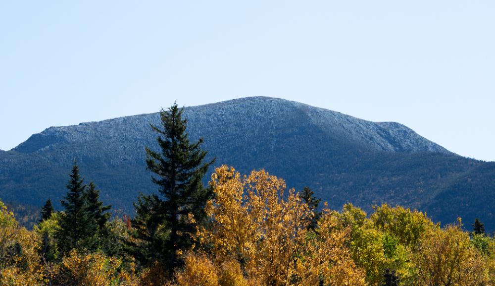 autumn foliage landscape mountain trees autumn foliage landscape mountain trees