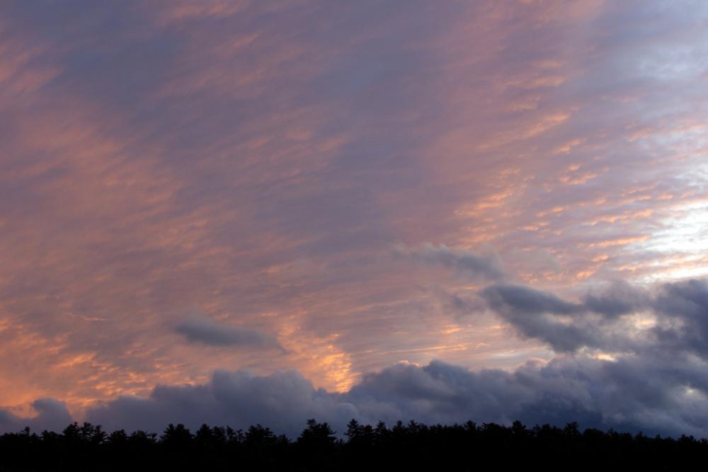 sunset clouds trees nature outdoors sunset clouds trees nature outdoors